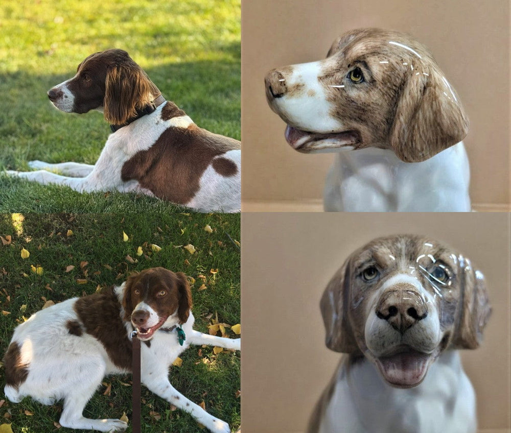 Dog in four different poses with a neutral background